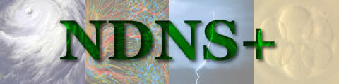 NDNS